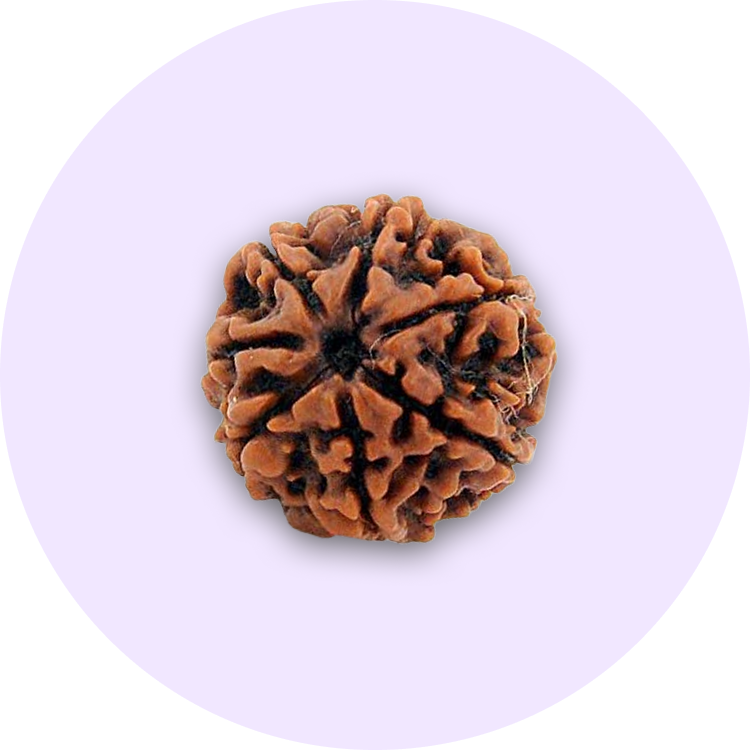 Rudraksh