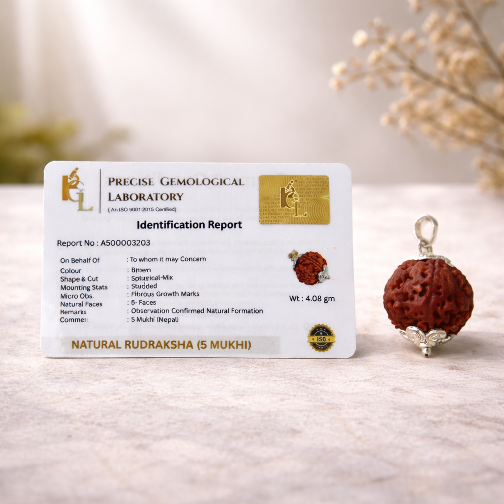 Nepal Origin 5 Mukhi Rudraksha (CERTIFIED)